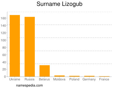 Surname Lizogub