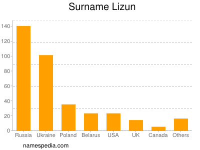 Surname Lizun