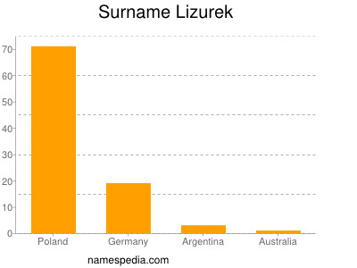 Surname Lizurek
