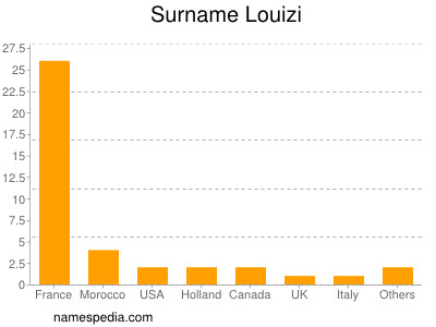 Surname Louizi