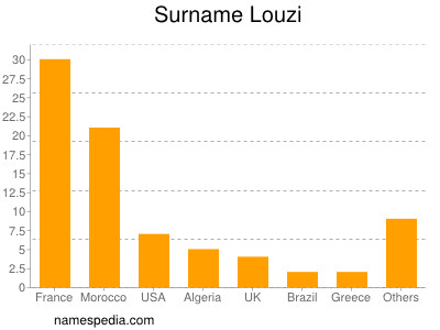 Surname Louzi