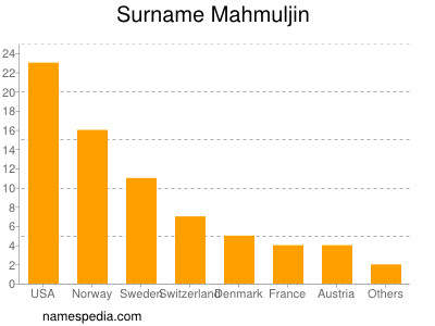 Surname Mahmuljin