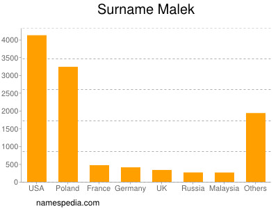 Surname Malek