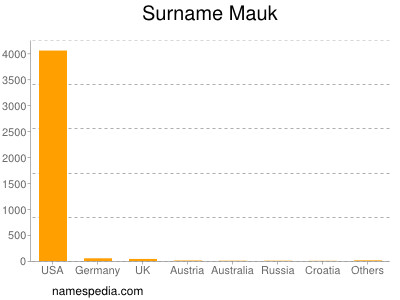 Surname Mauk