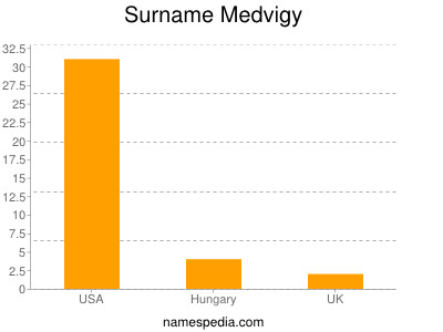 Surname Medvigy