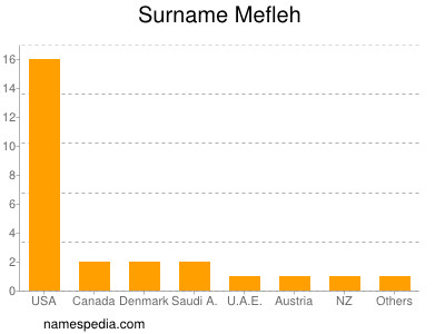 Surname Mefleh