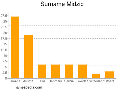 Surname Midzic