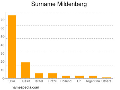 Surname Mildenberg