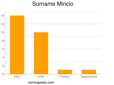 Surname Mincio