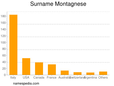 Surname Montagnese