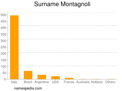 Surname Montagnoli