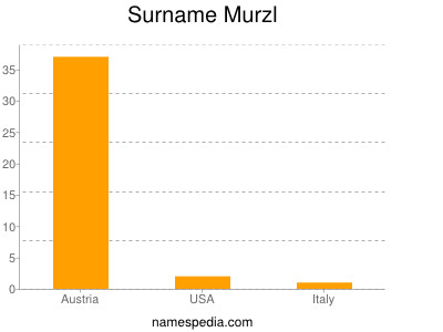 Surname Murzl
