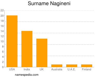 Surname Nagineni