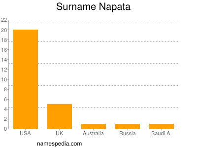Surname Napata