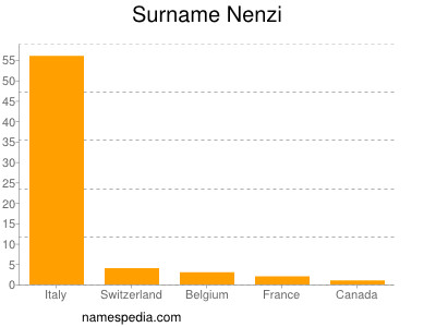 Surname Nenzi