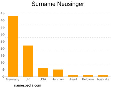 Surname Neusinger