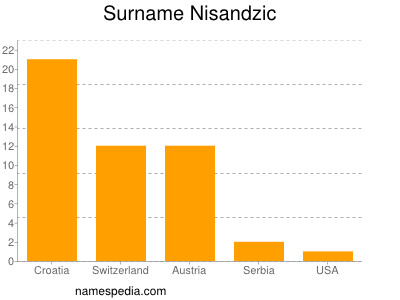 Familiennamen Nisandzic