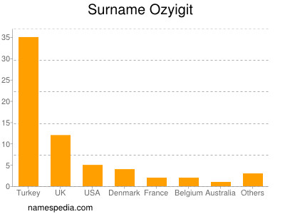 Surname Ozyigit