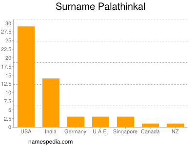 Surname Palathinkal
