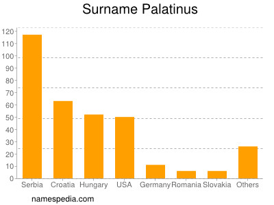 Surname Palatinus
