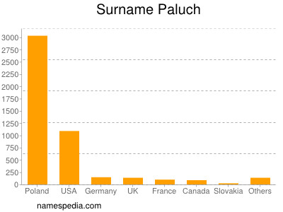 Surname Paluch