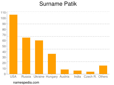 Surname Patik