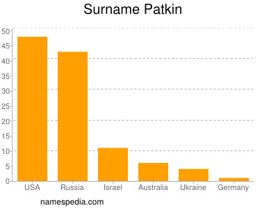 Surname Patkin