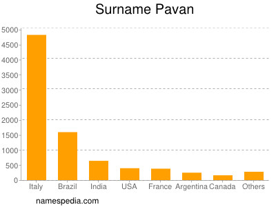 Surname Pavan