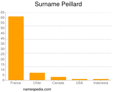 Surname Peillard