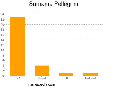 Surname Pellegrim