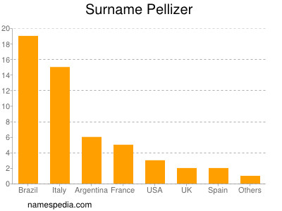 Familiennamen Pellizer