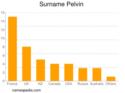 Surname Pelvin