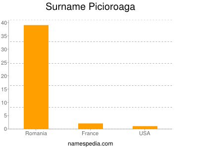Surname Picioroaga