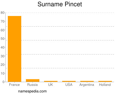 Surname Pincet