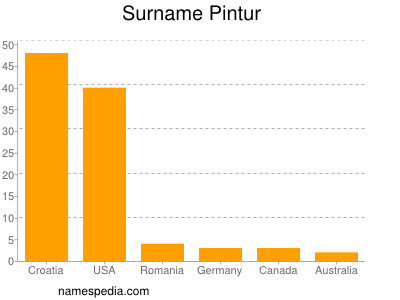 Surname Pintur