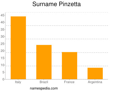 Surname Pinzetta