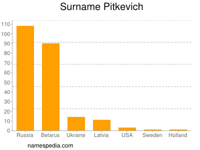 Surname Pitkevich