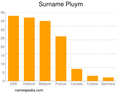 Surname Pluym