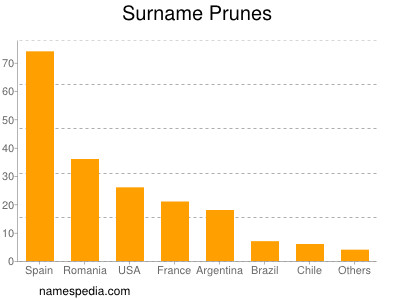 Surname Prunes