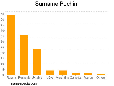 Surname Puchin