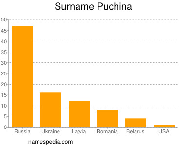 Surname Puchina