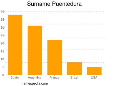 Surname Puentedura