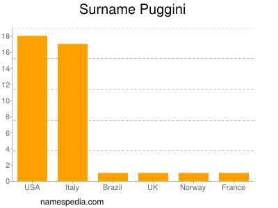 Surname Puggini