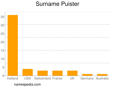 Surname Puister