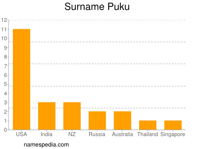 Surname Puku