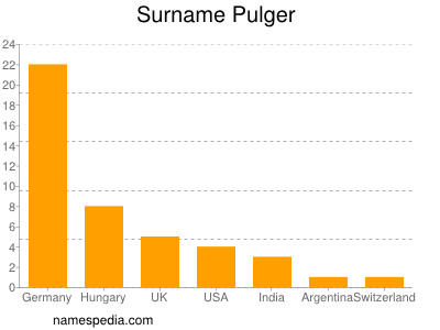 Surname Pulger
