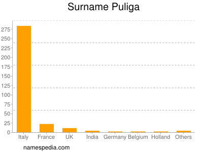 Surname Puliga