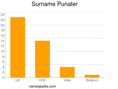Surname Punater