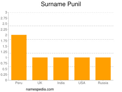 Surname Punil