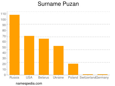 Surname Puzan